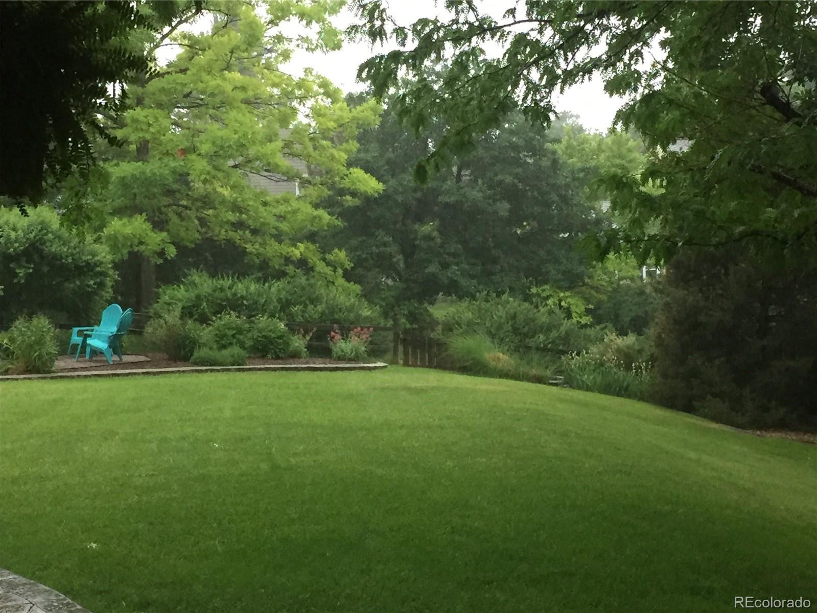 Photo #31