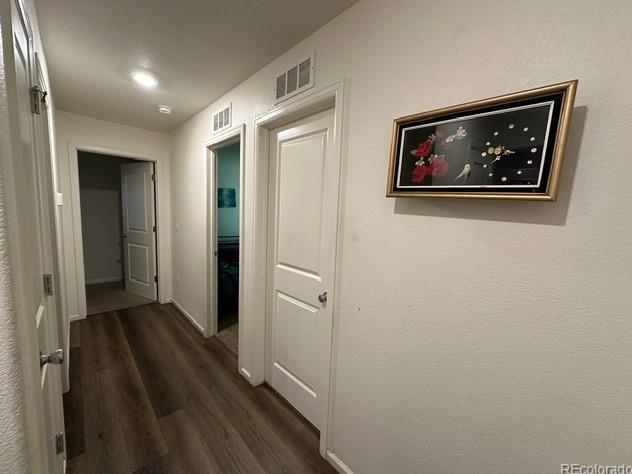 Photo #16
