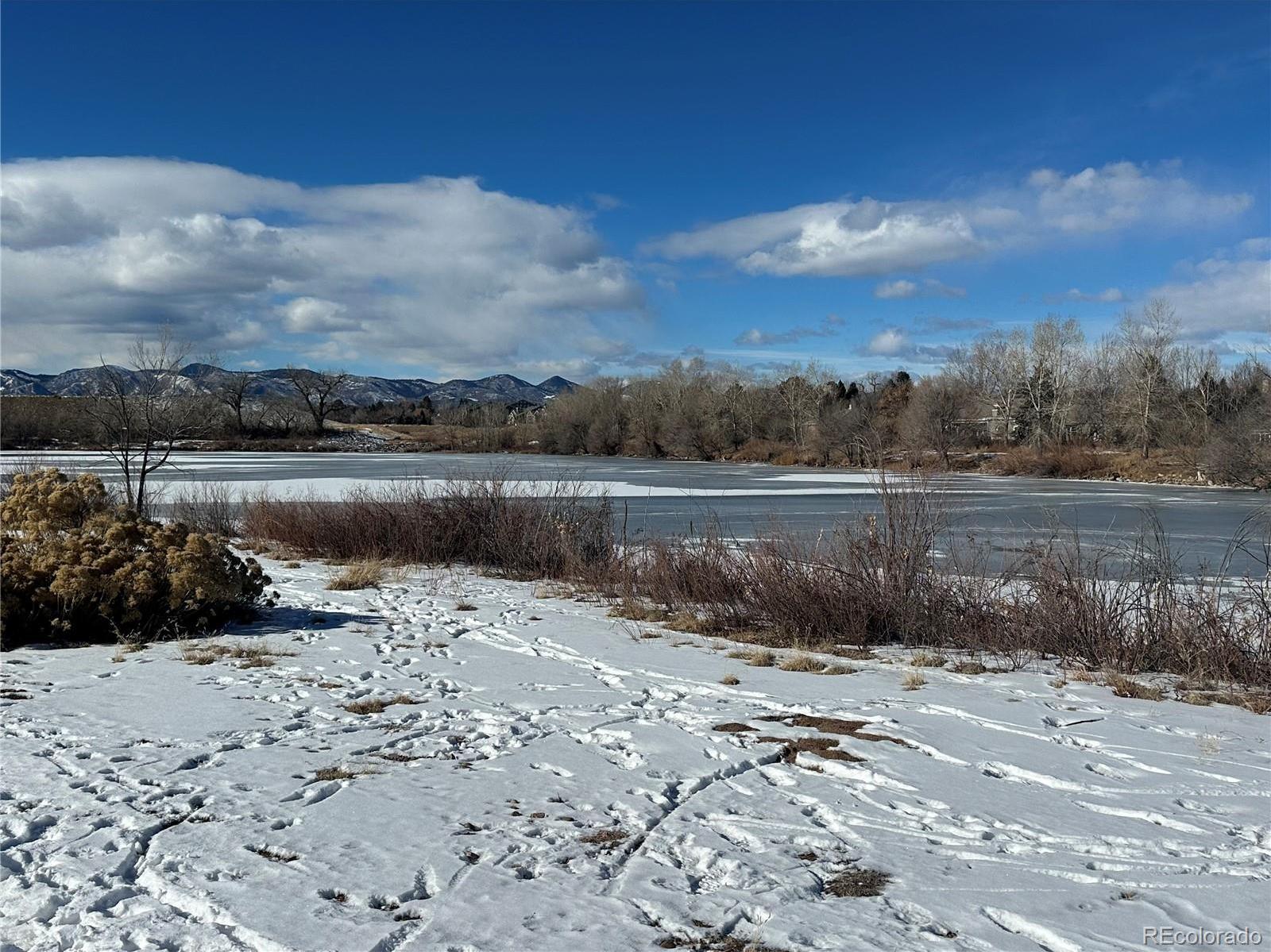 Photo #46