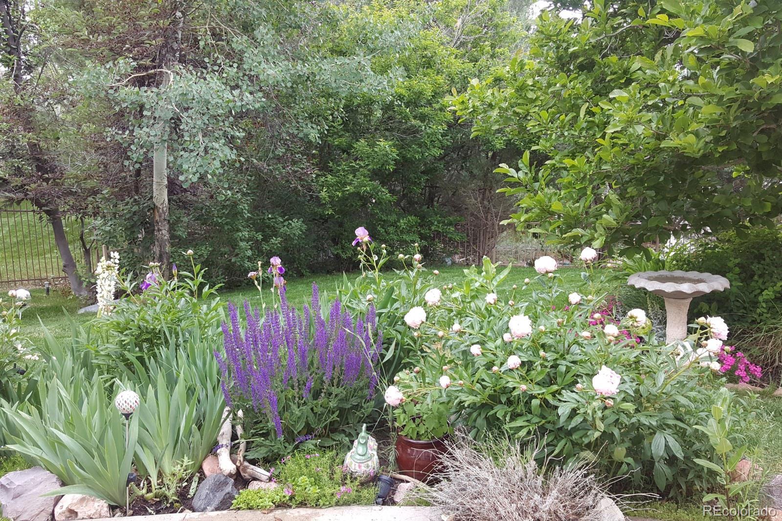 Photo #34