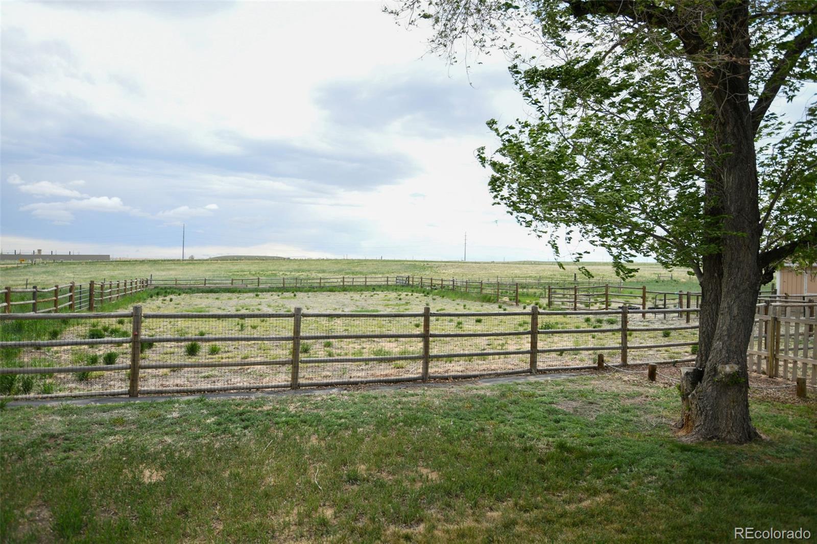 Photo #16