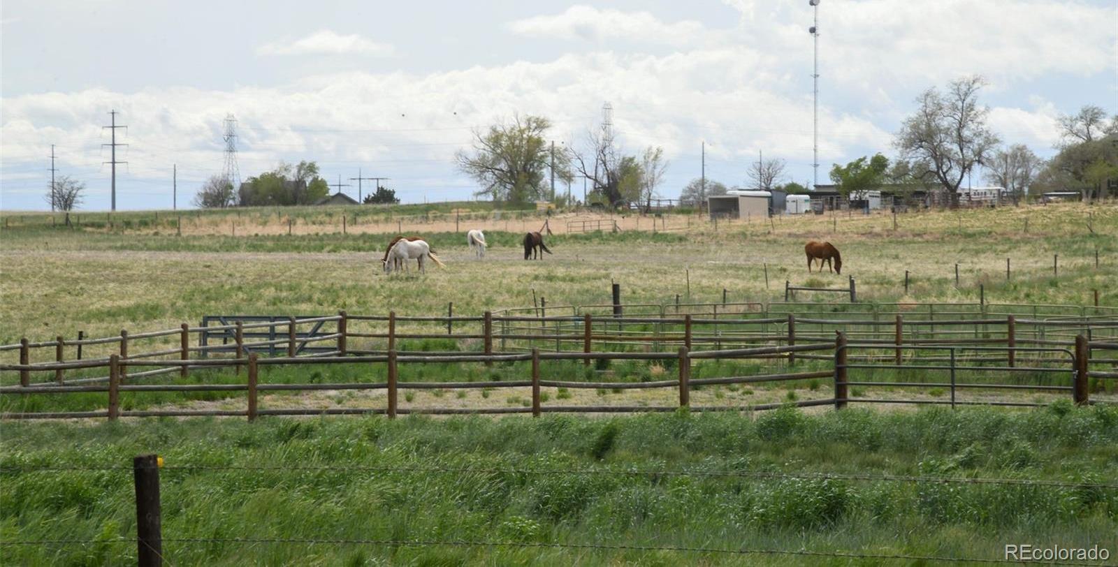 Photo #34