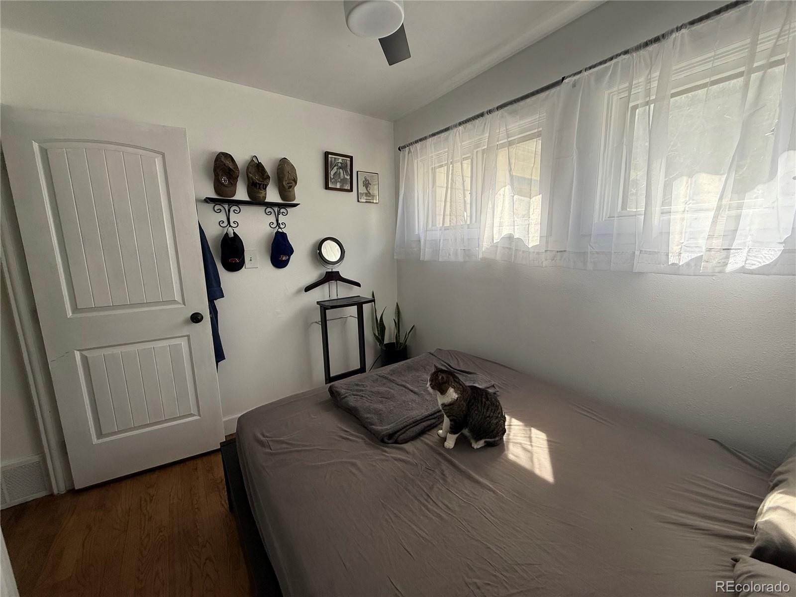 Photo #18