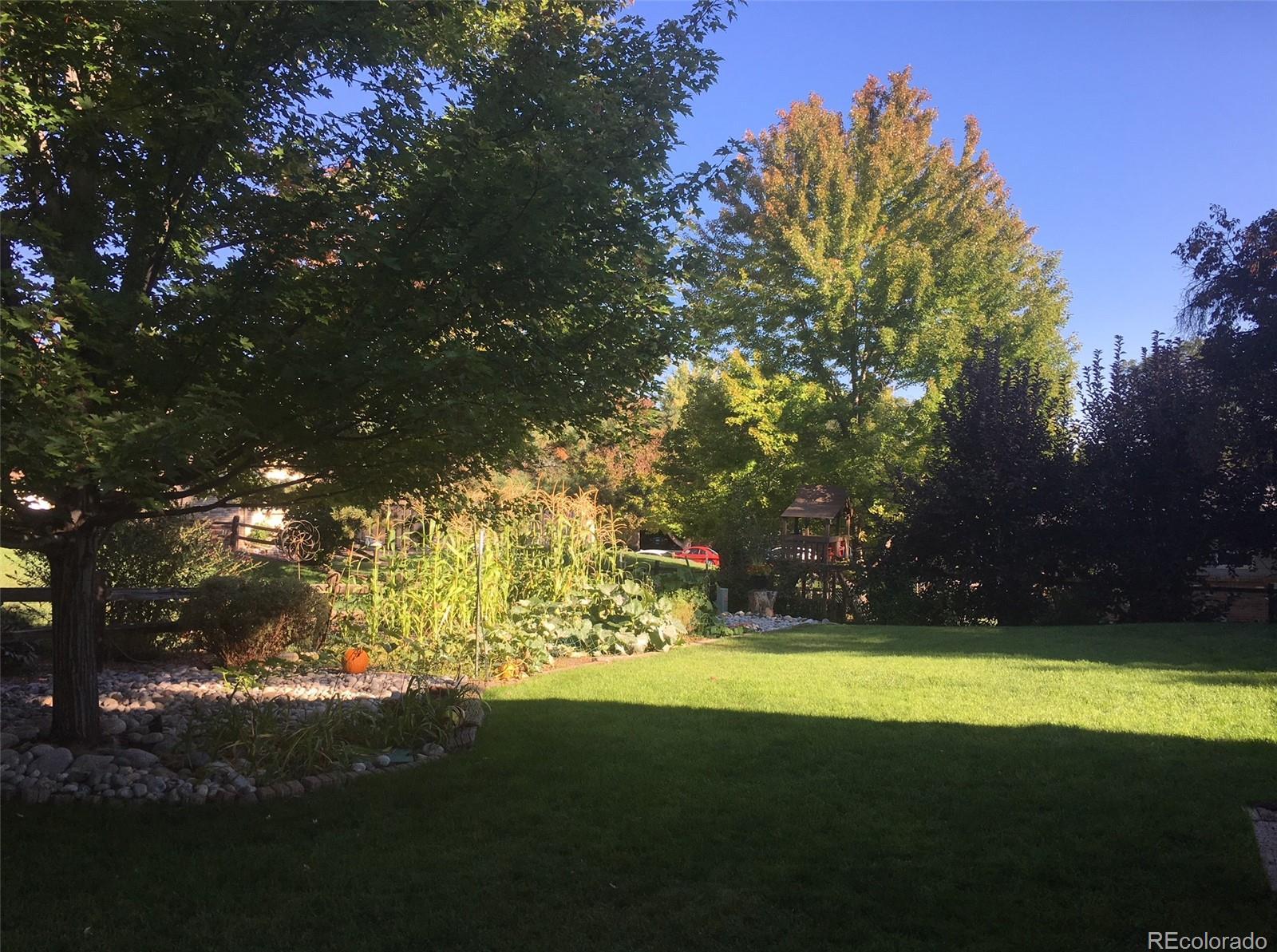 Photo #31