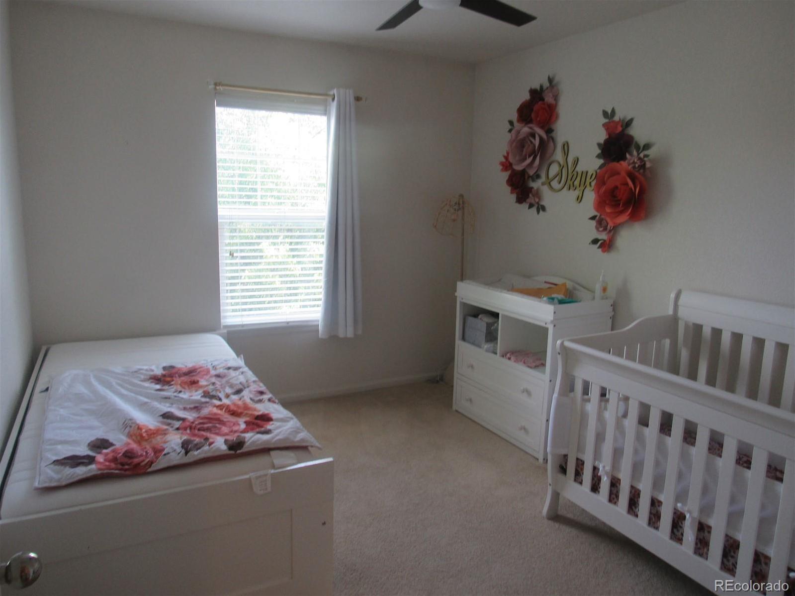 Photo #12