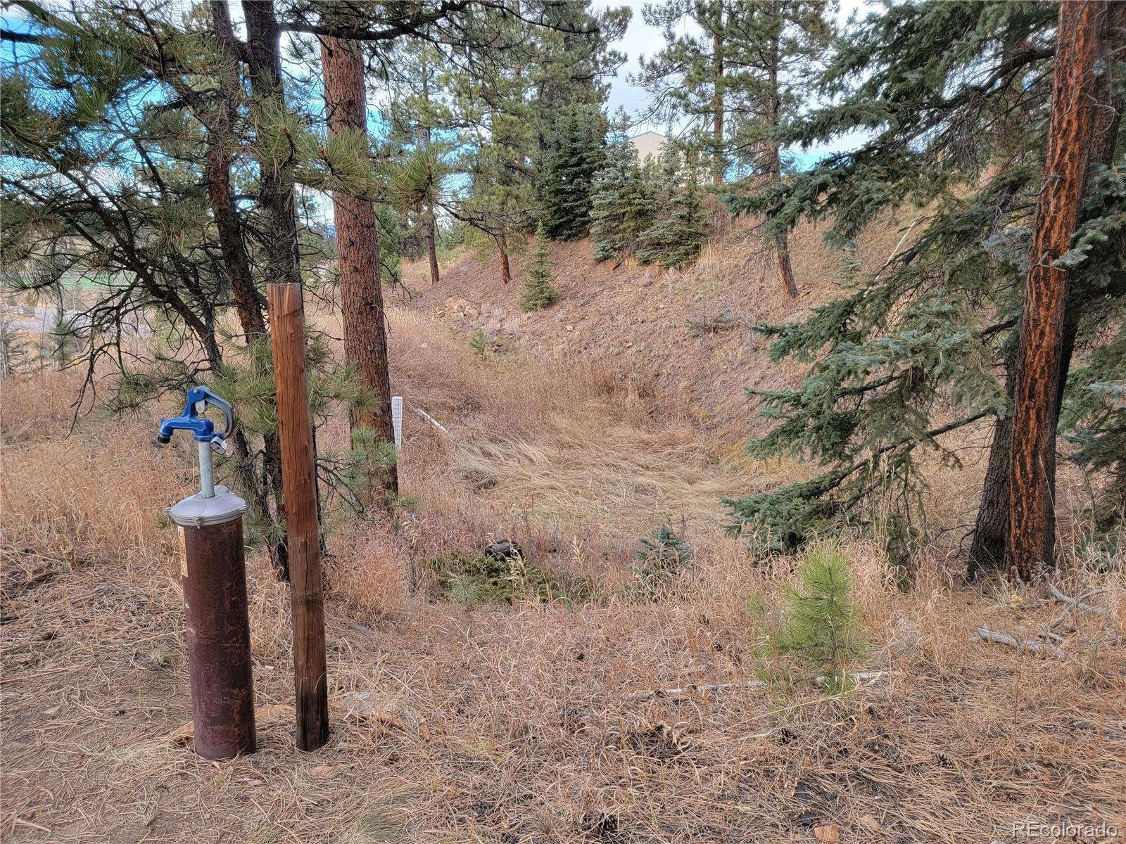 Photo #38