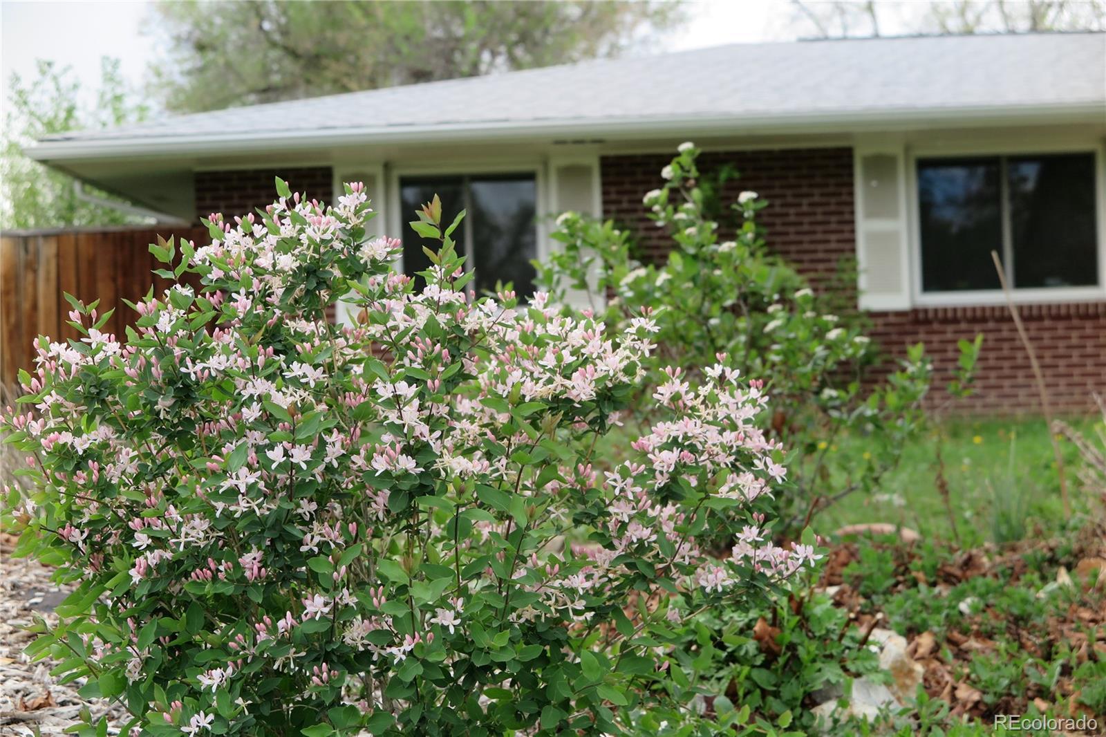 Photo #29