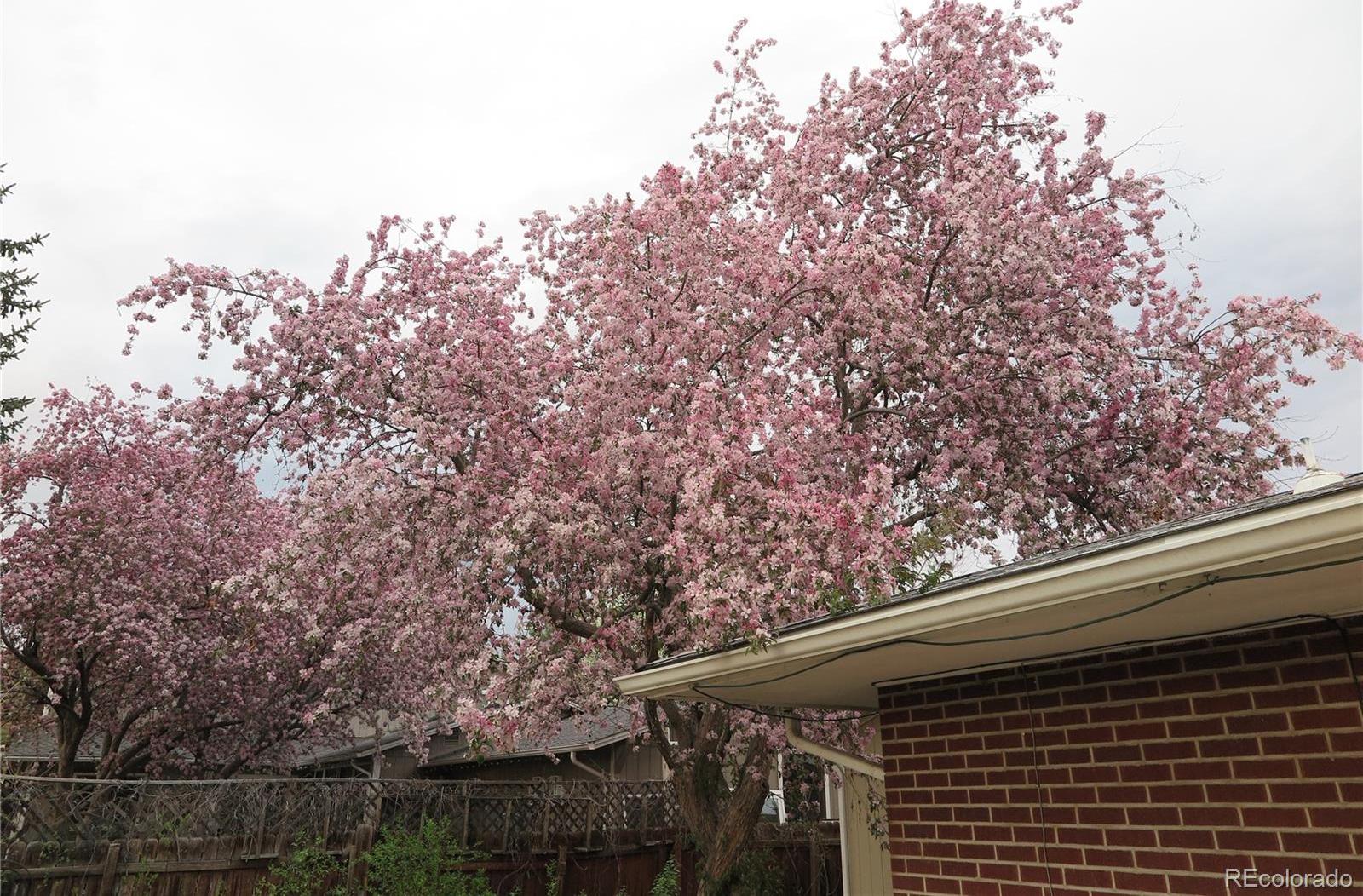 Photo #33