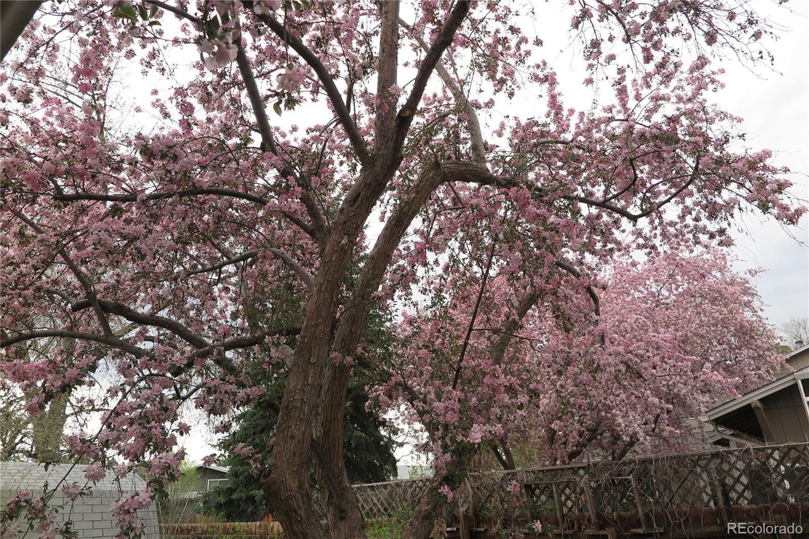 Photo #32