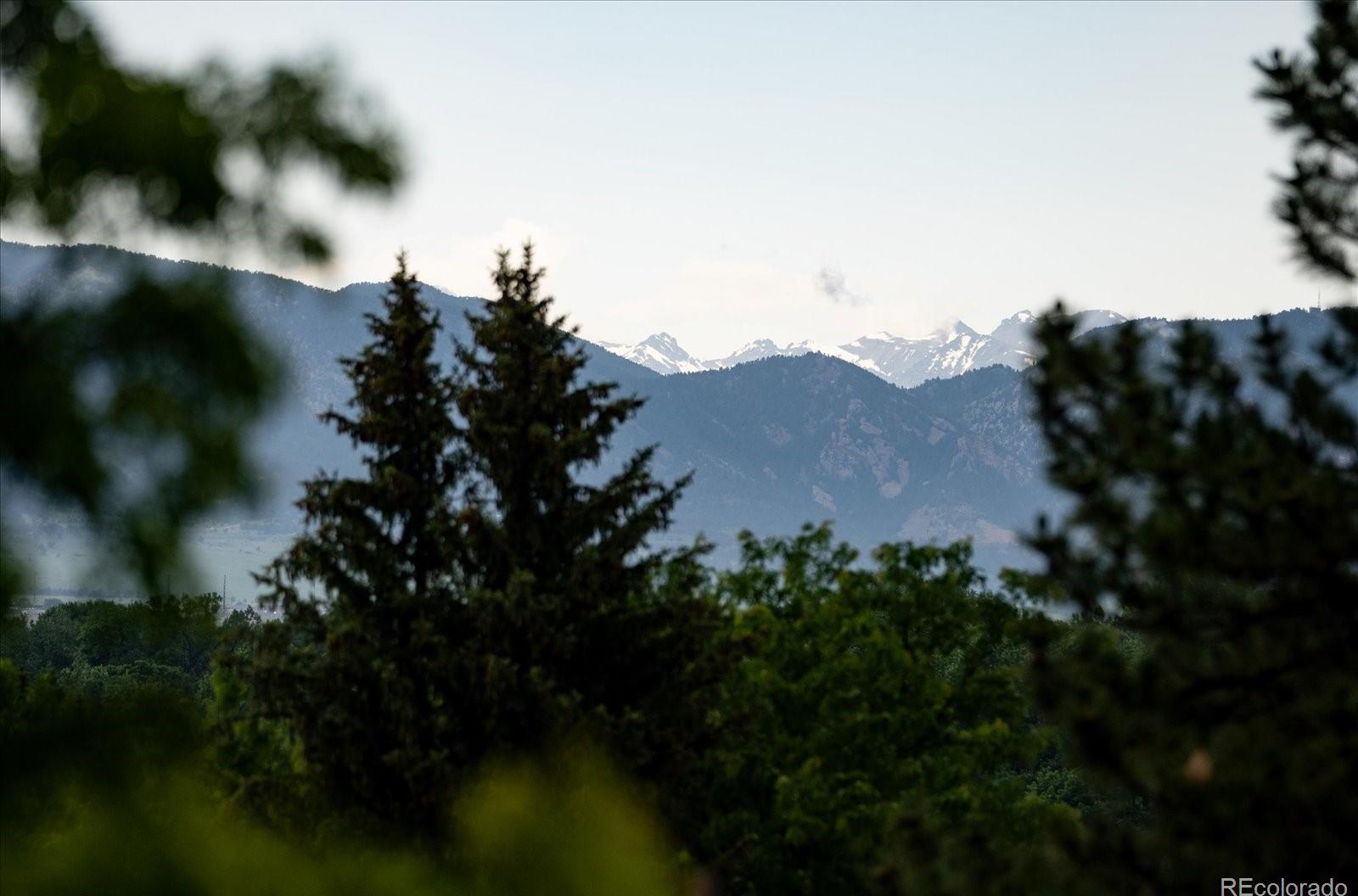 Photo #29