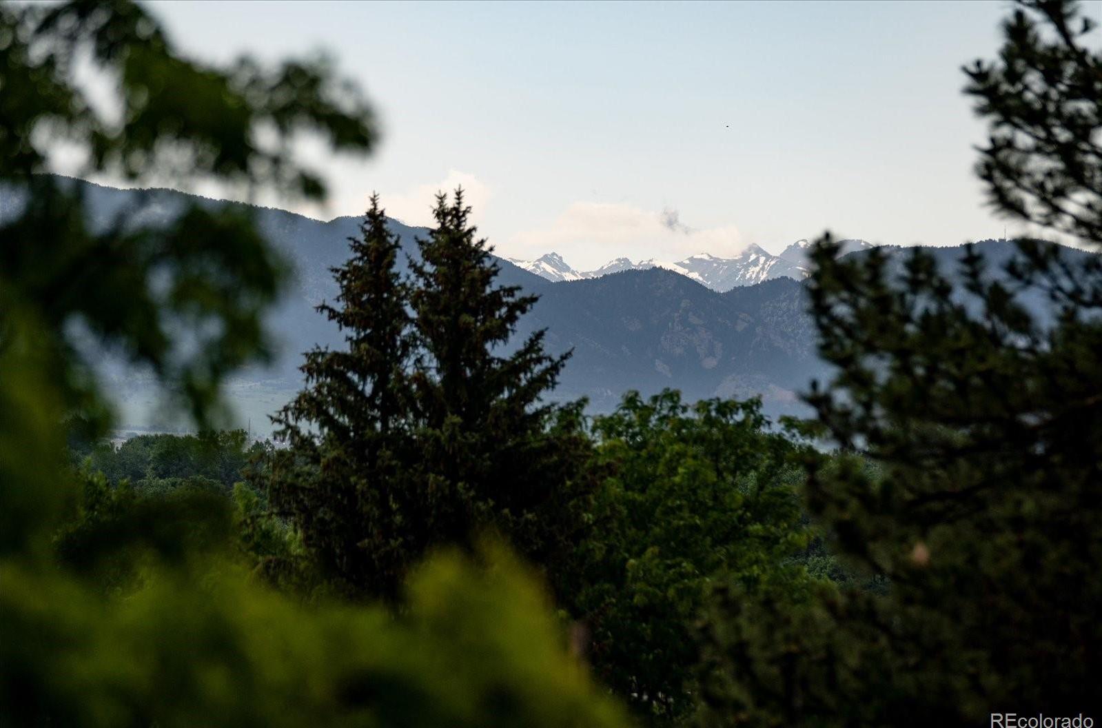 Photo #31