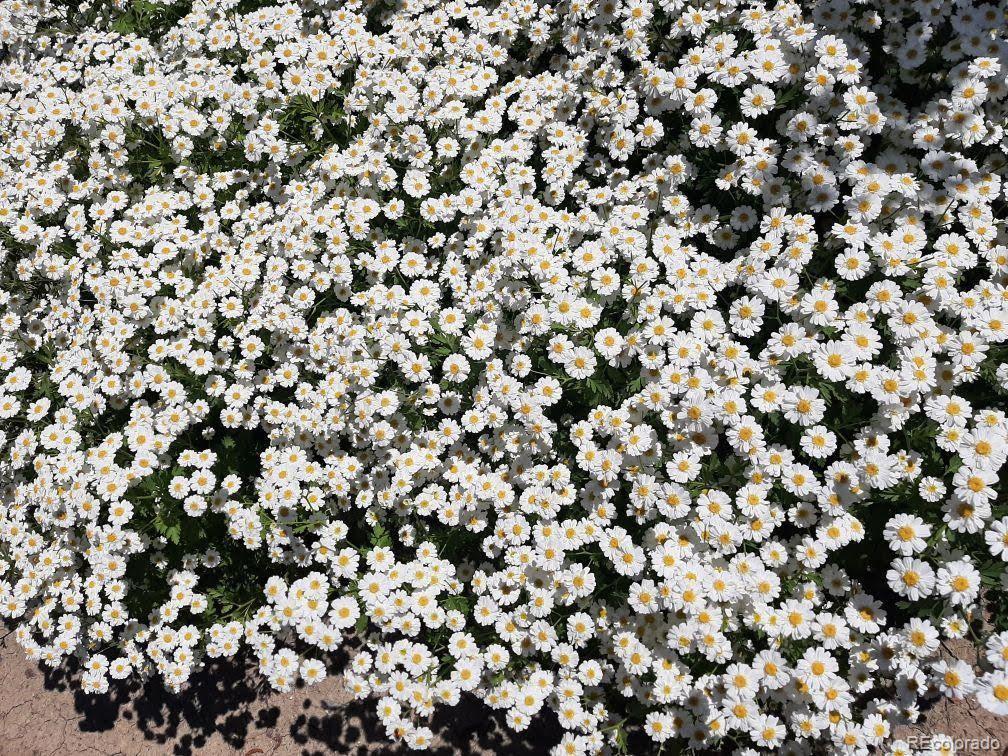 Photo #39