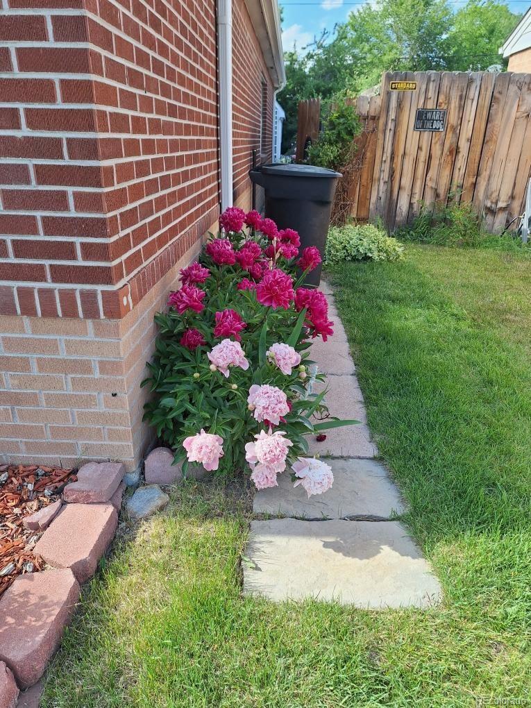 Photo #35