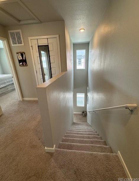 Photo #12