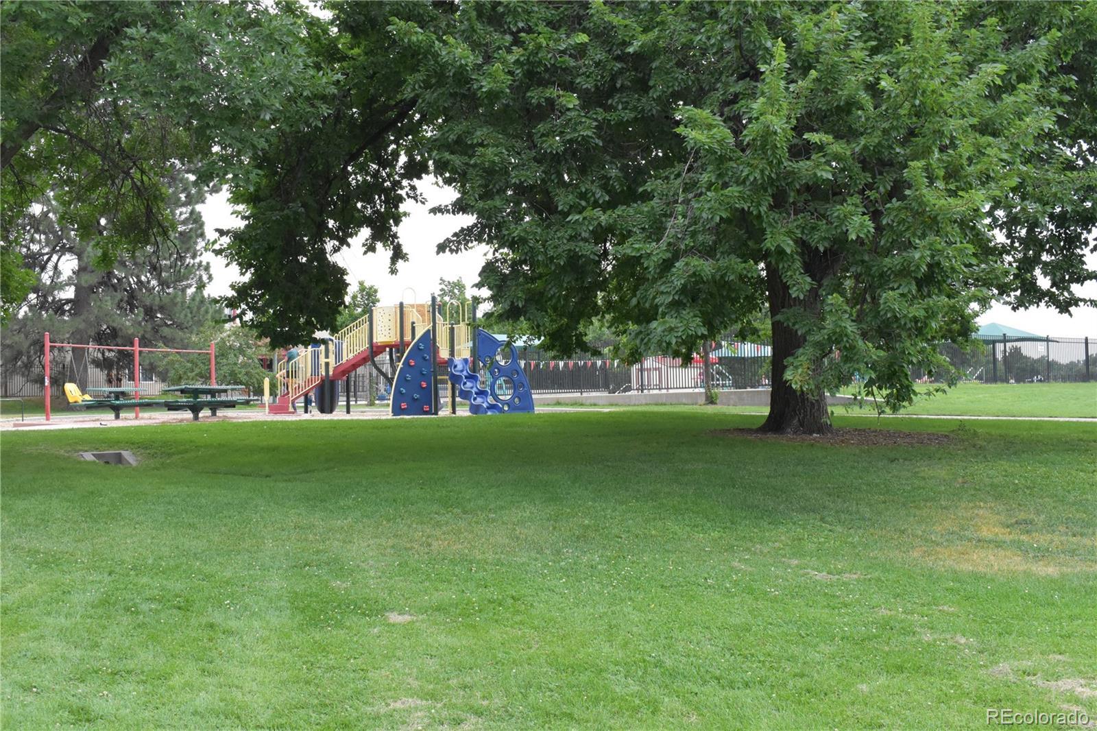 Photo #29