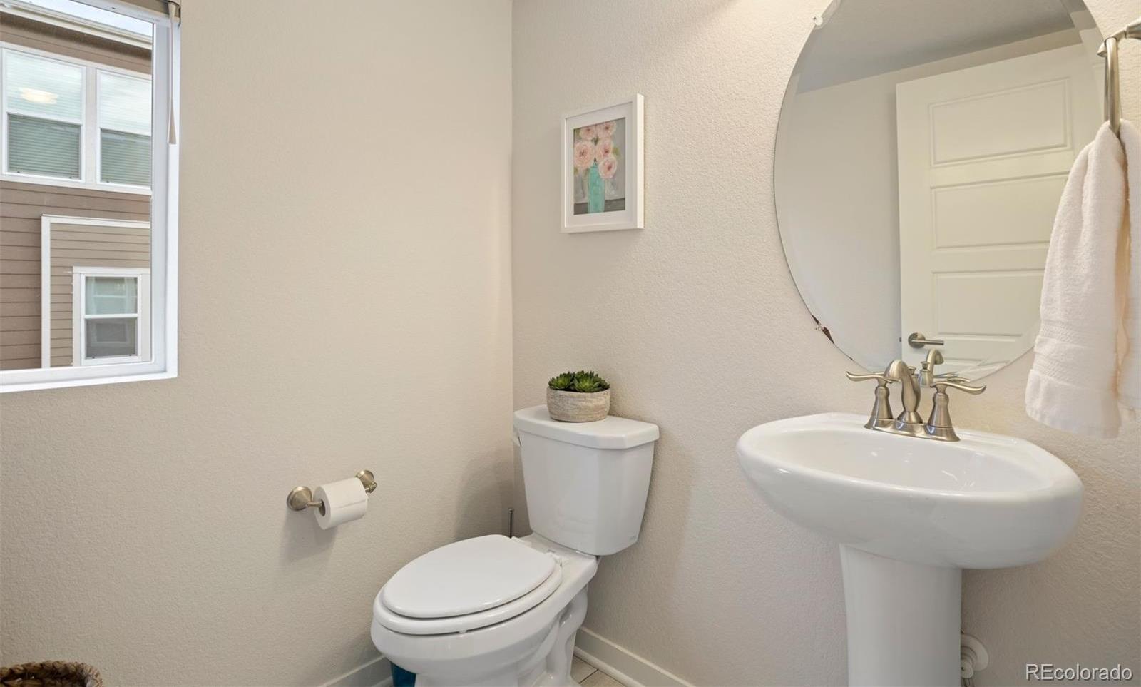 Photo #15