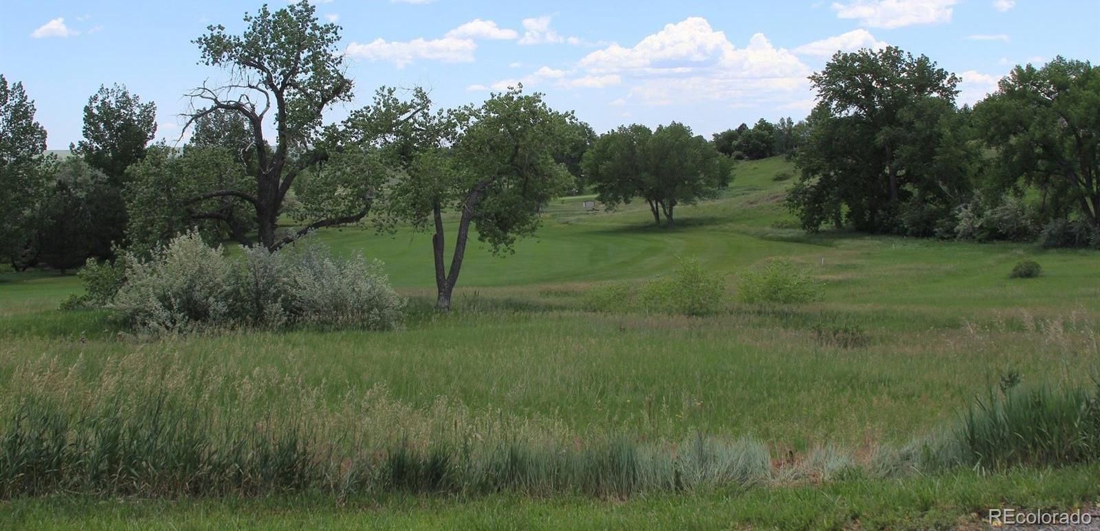 Photo #44