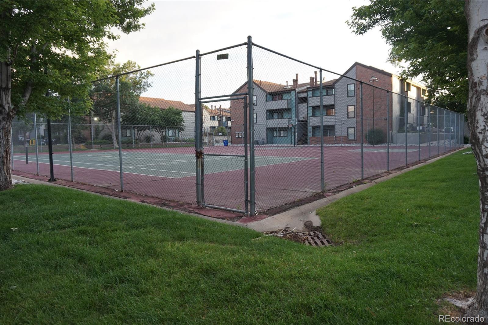 Photo #17