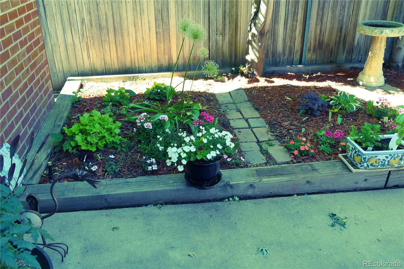 Photo #23