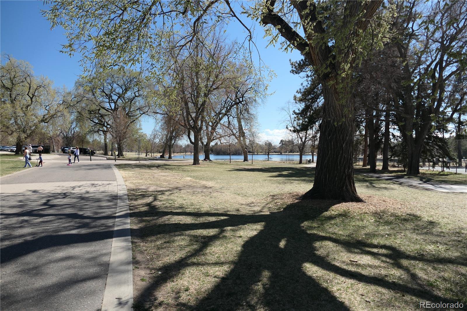 Photo #26