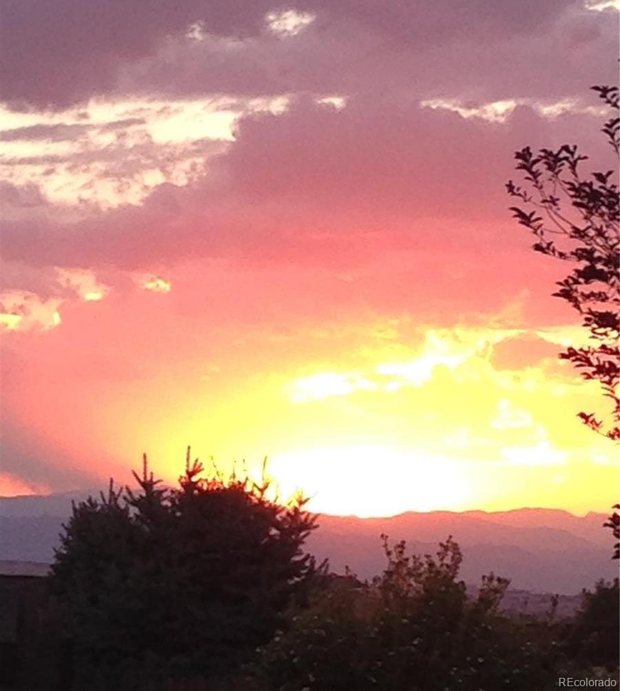 Photo #46