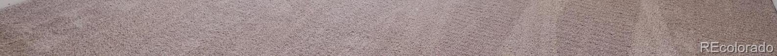 Photo #11