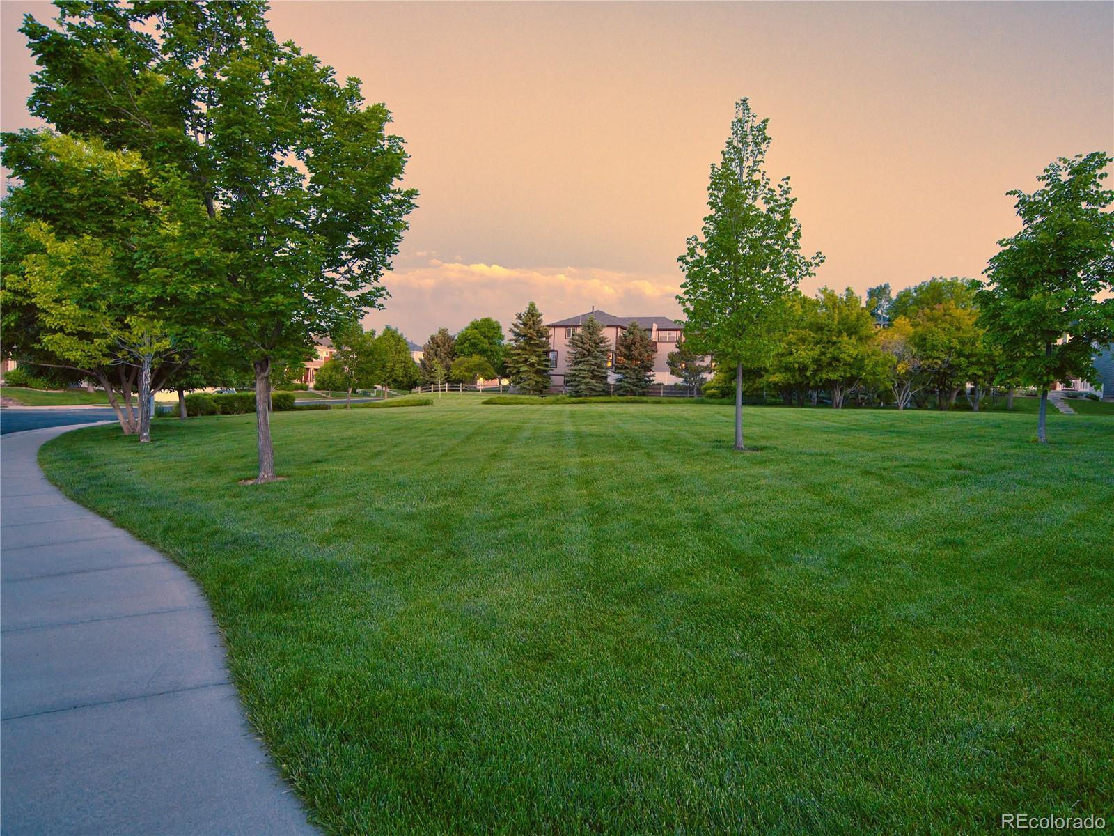 Photo #49