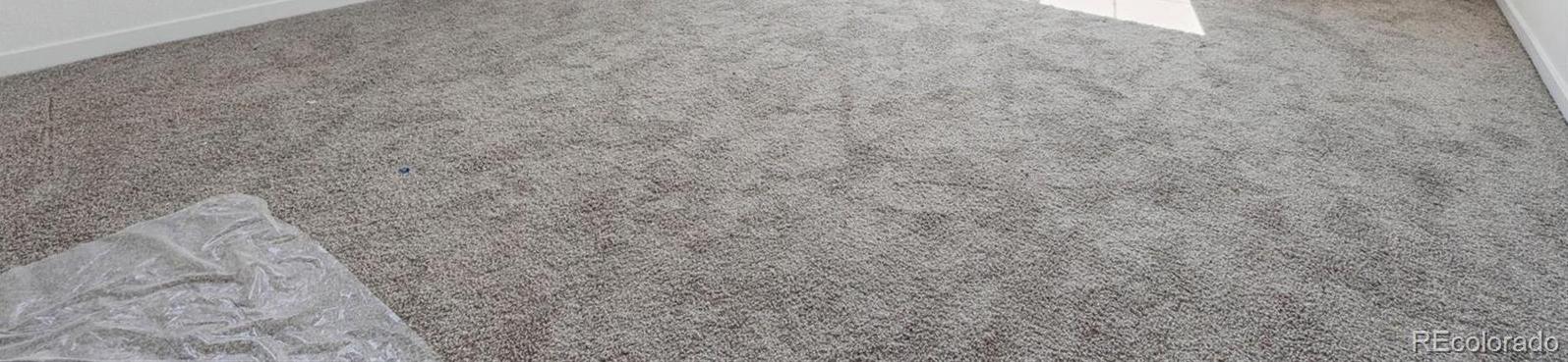 Photo #18