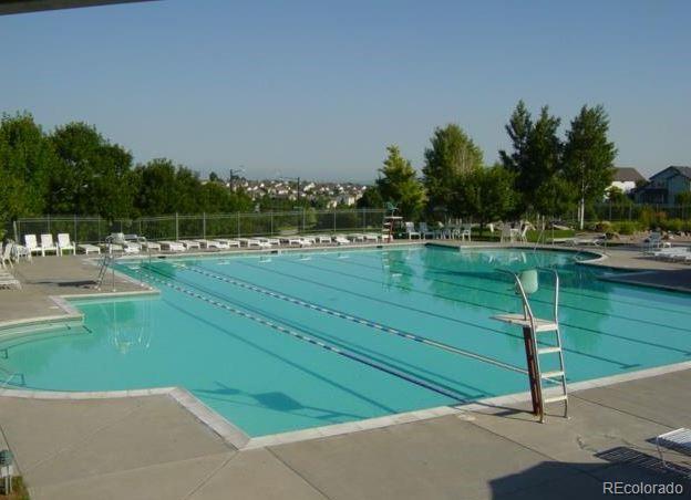 Photo #41