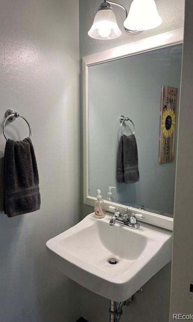 Photo #14
