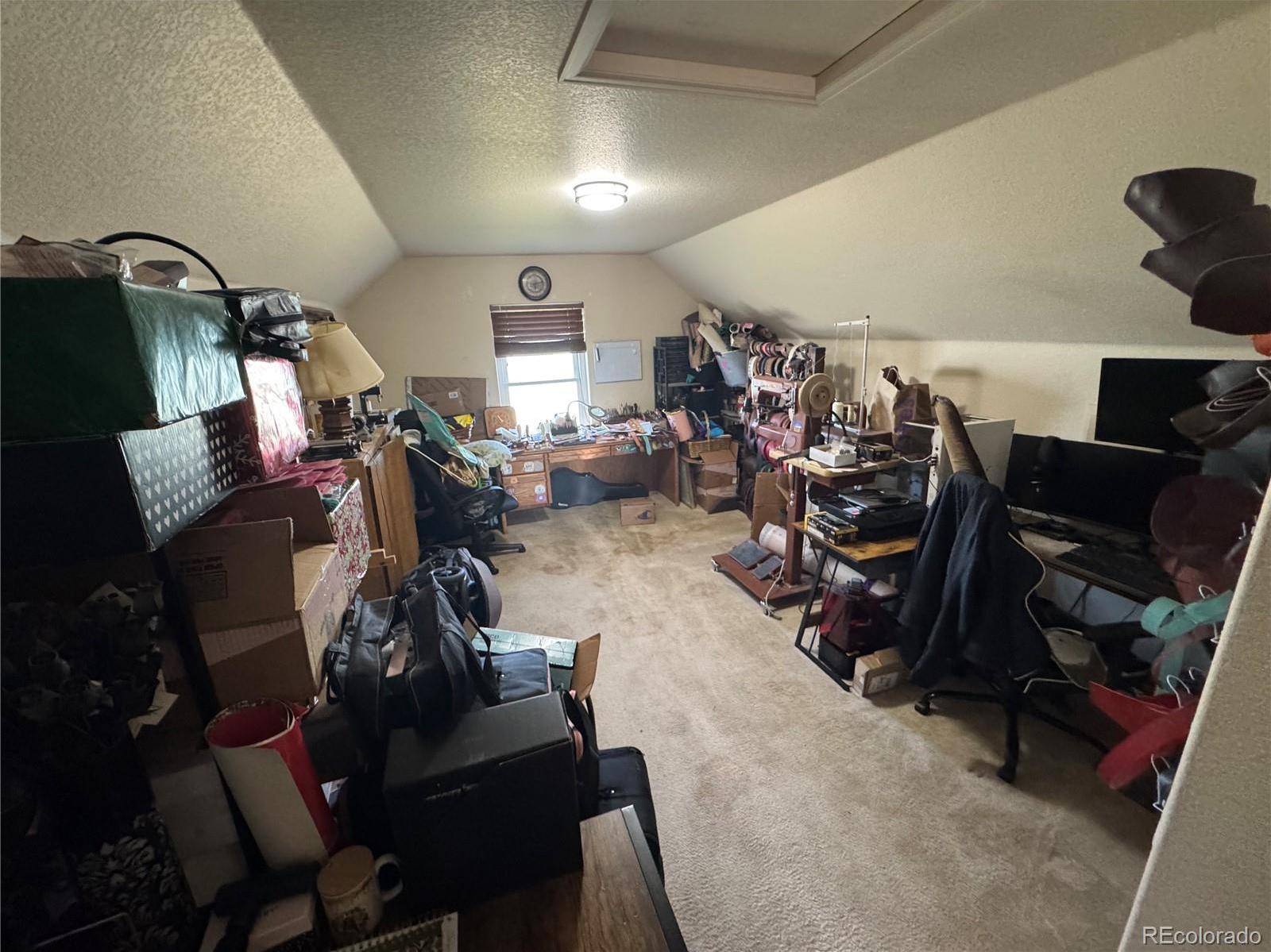 Photo #14