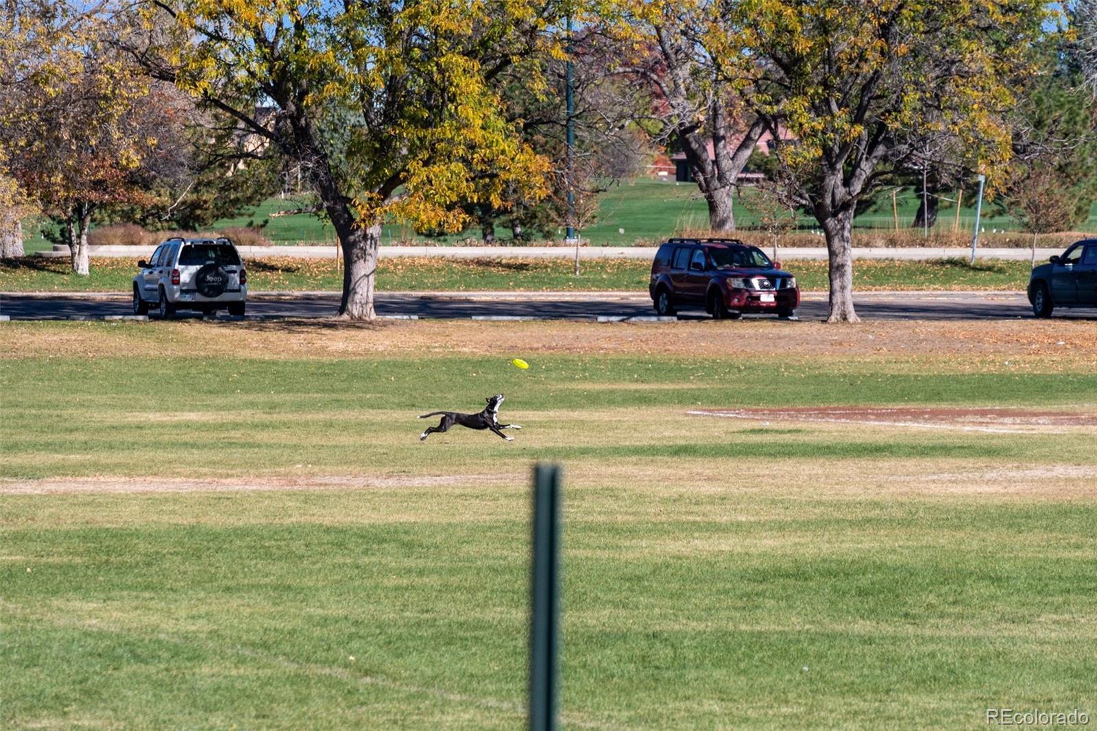 Photo #38