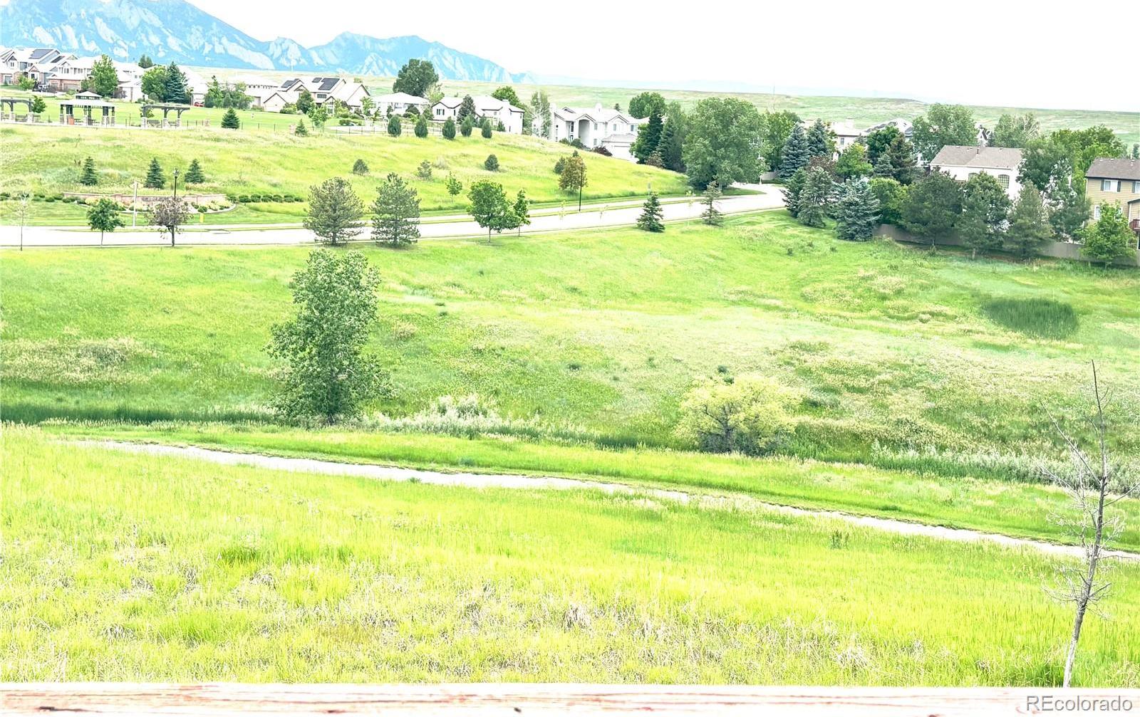 Photo #5
