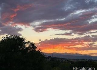 Photo #23