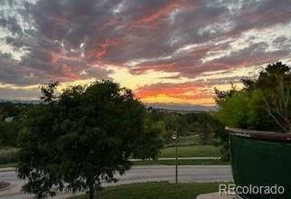 Photo #22