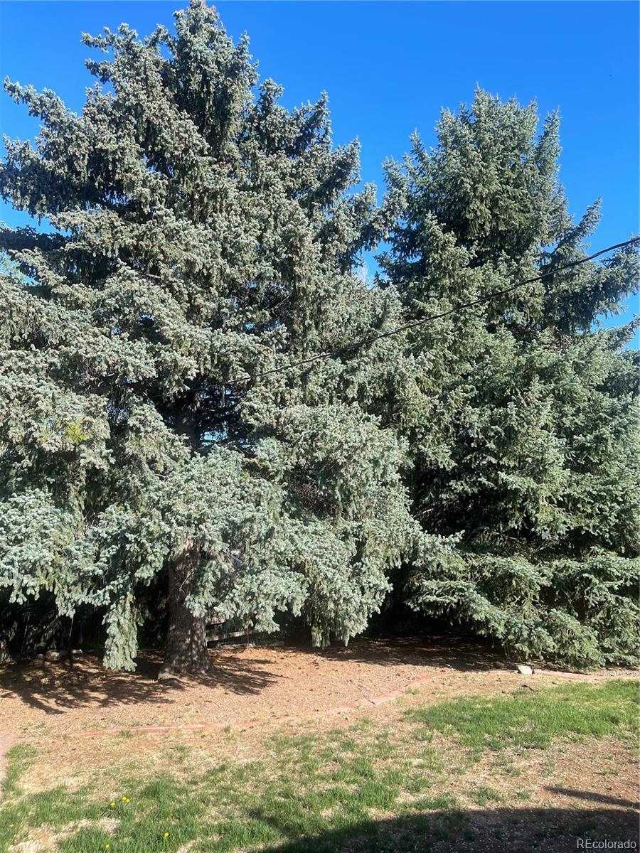 Photo #38
