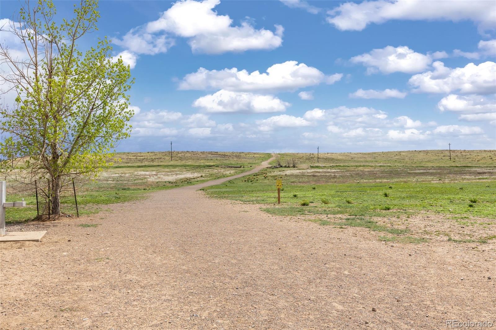 Photo #33