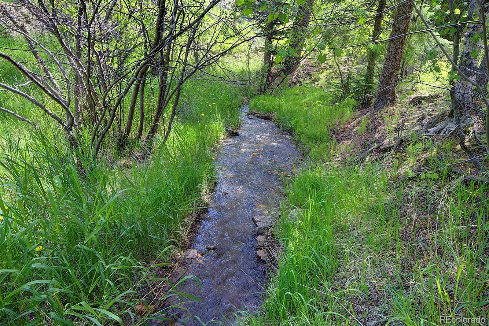 Photo #7