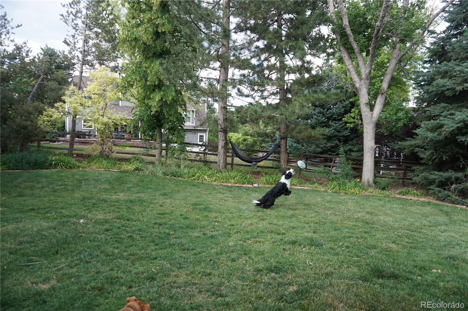 Photo #42