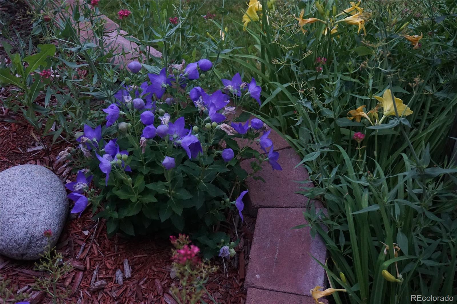 Photo #41