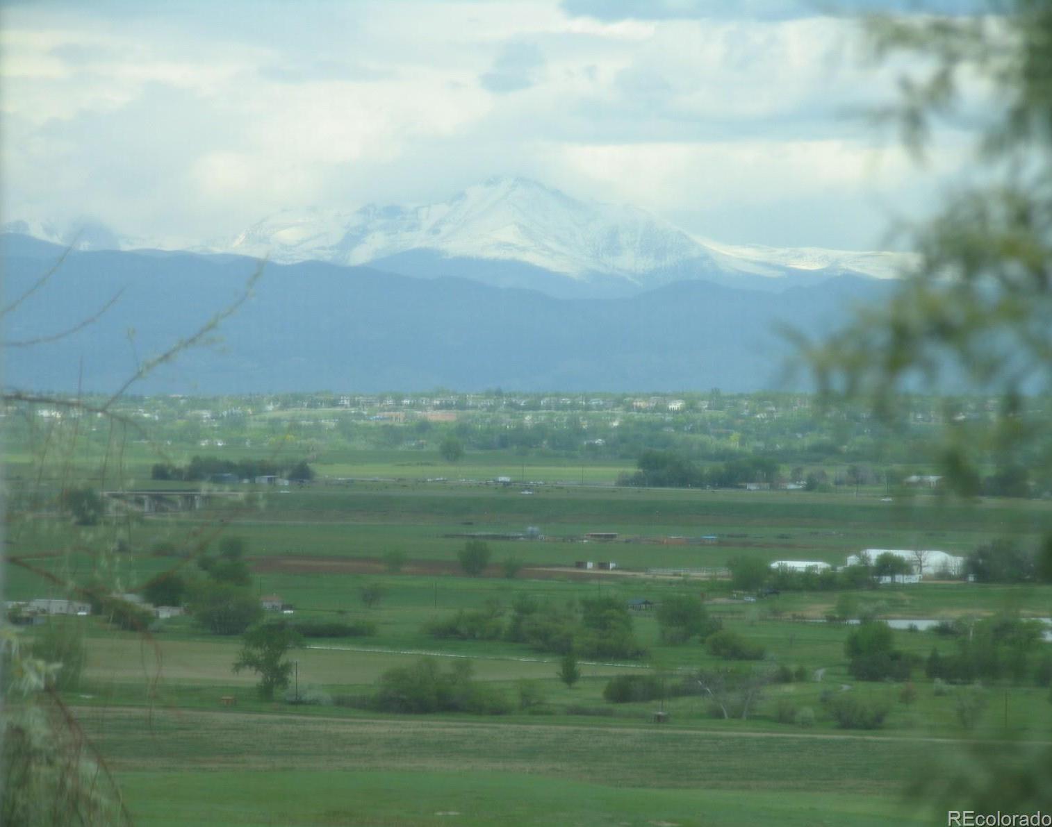 Photo #11