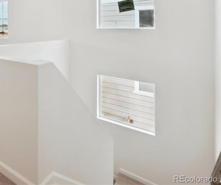 Photo #13
