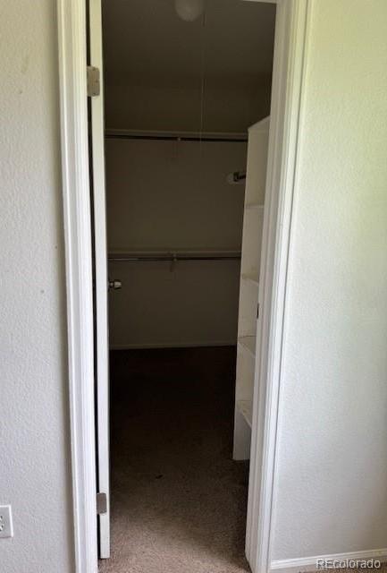 Photo #10