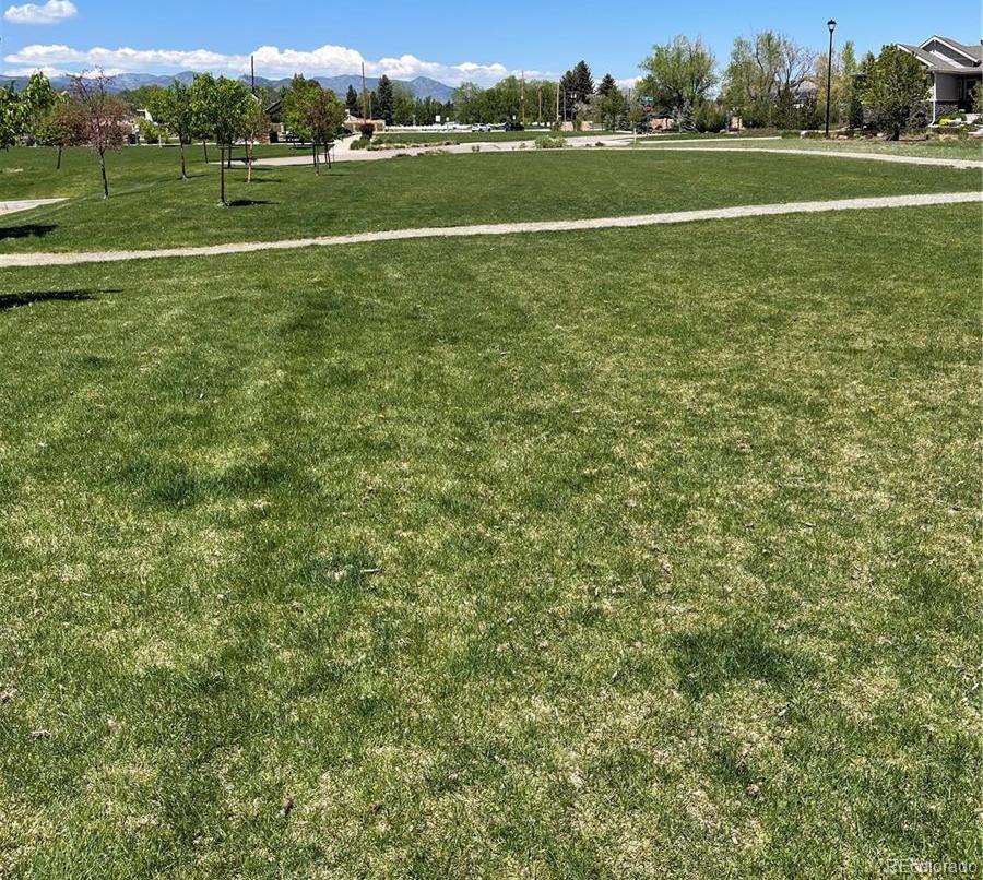 Photo #32