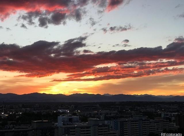 Photo #34