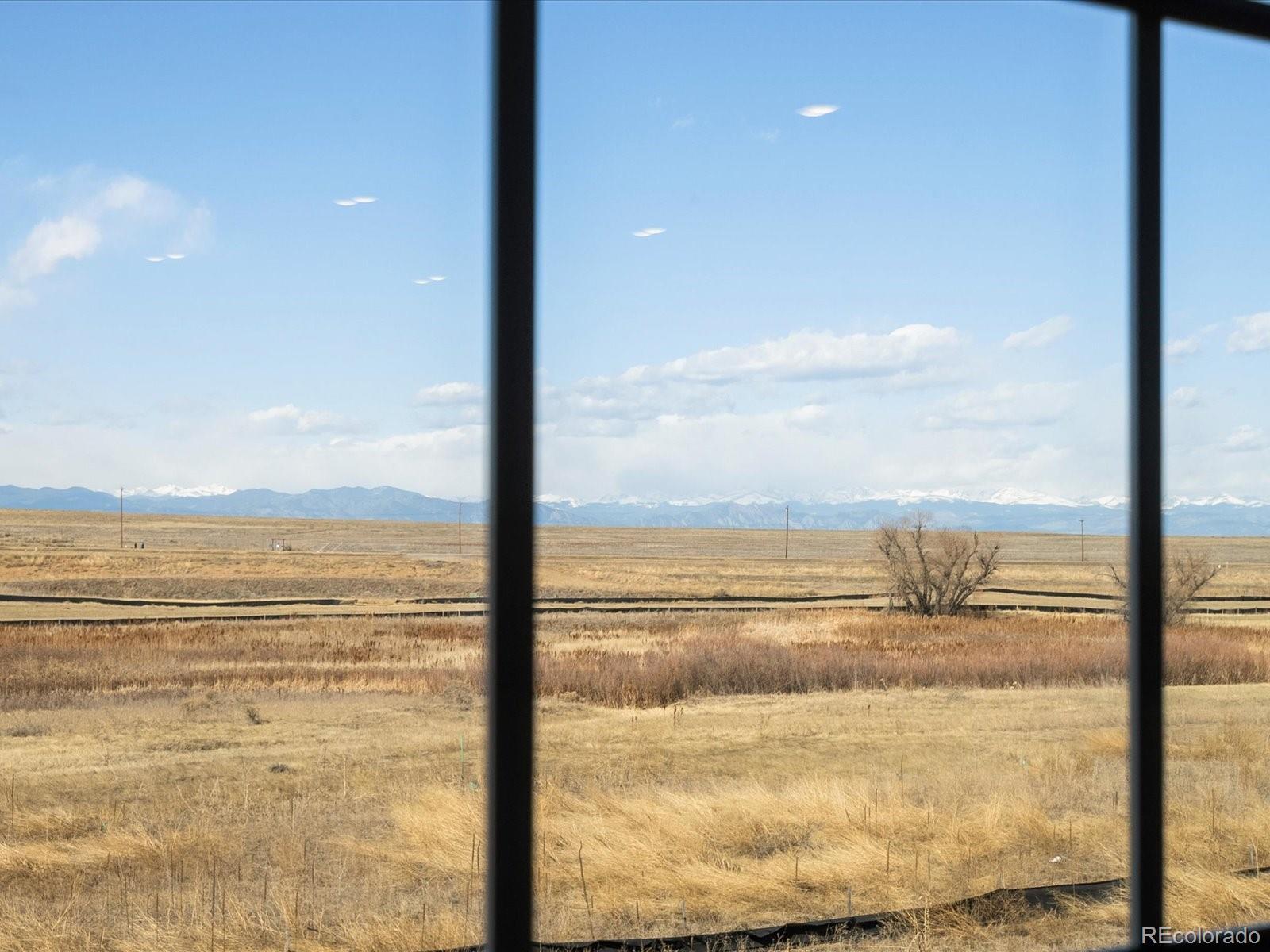 Photo #41