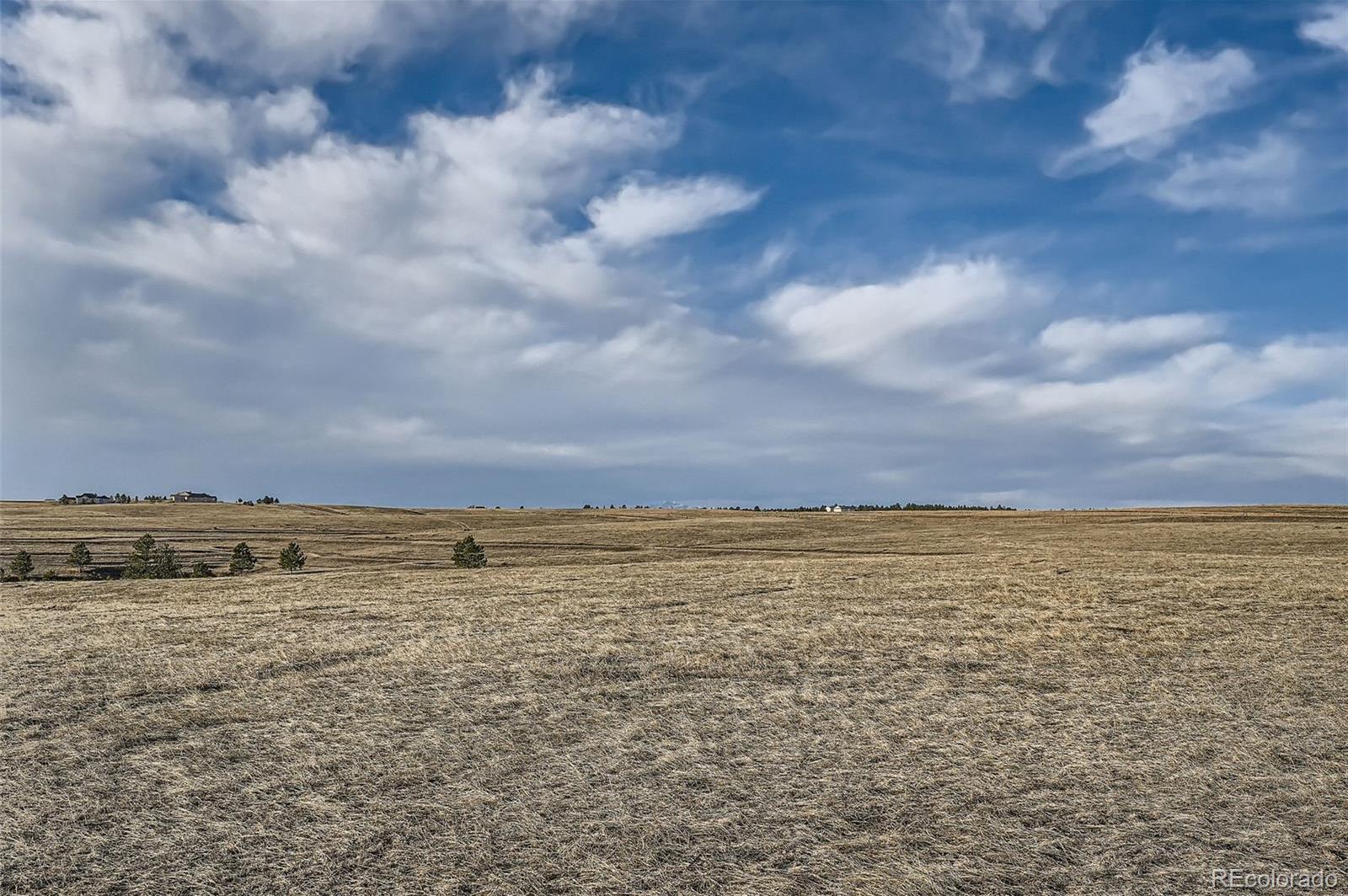 Photo #35