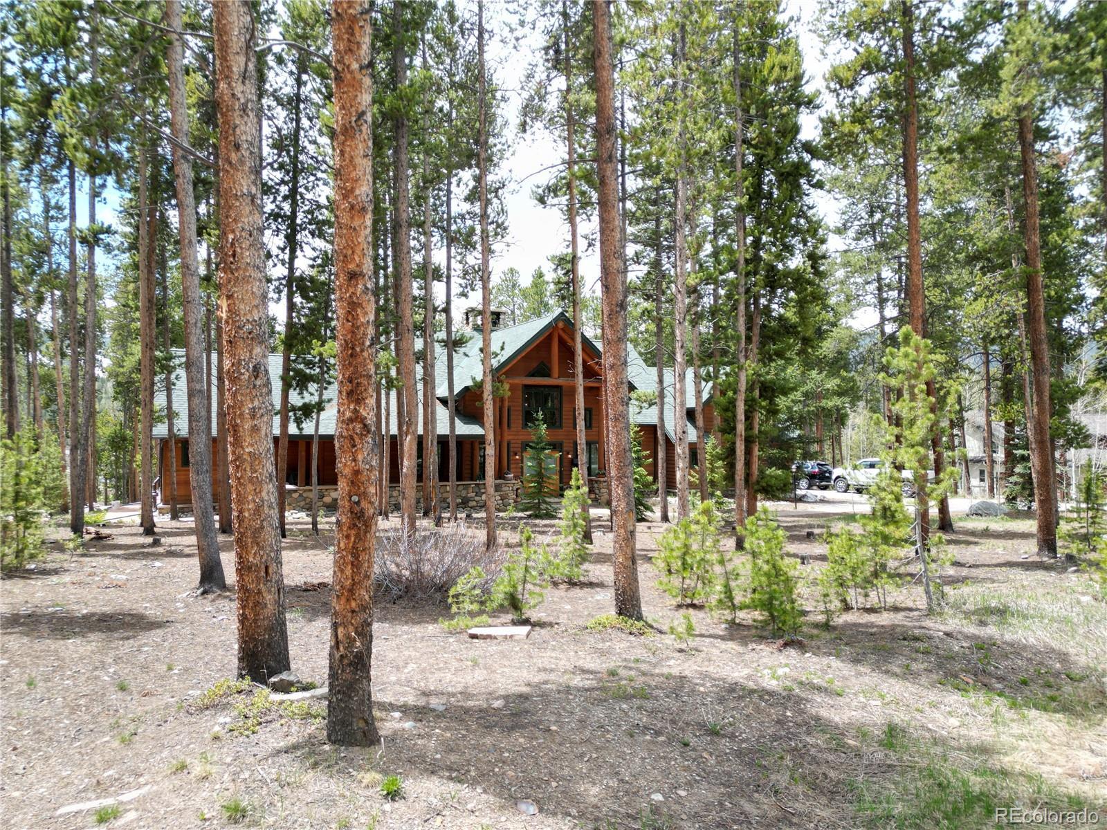 Photo #47
