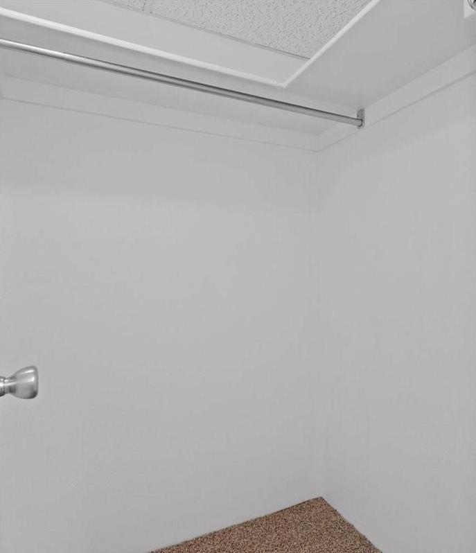 Photo #19