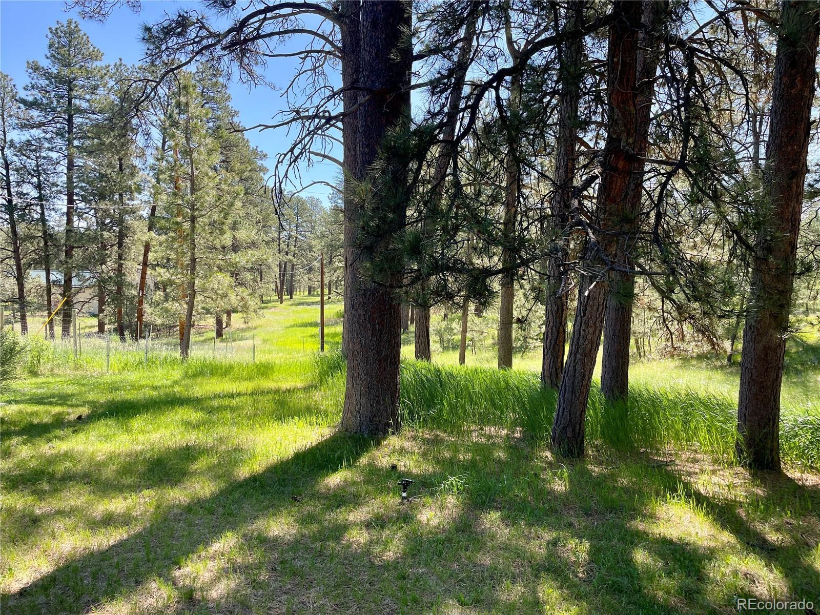 Photo #14